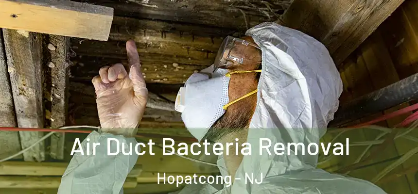  Air Duct Bacteria Removal Hopatcong - NJ
