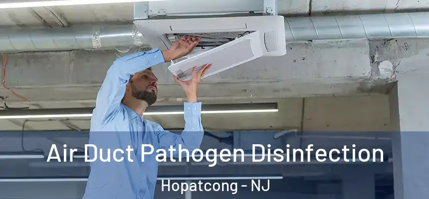  Air Duct Pathogen Disinfection Hopatcong - NJ
