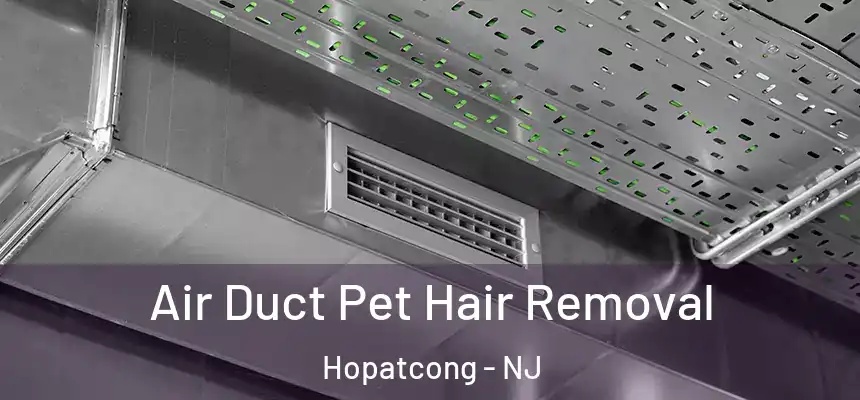  Air Duct Pet Hair Removal Hopatcong - NJ