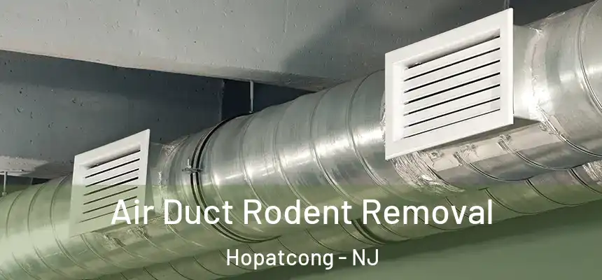  Air Duct Rodent Removal Hopatcong - NJ