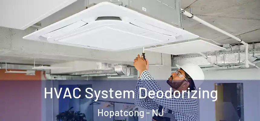  HVAC System Deodorizing Hopatcong - NJ