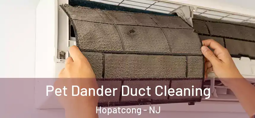 Pet Dander Duct Cleaning Hopatcong - NJ