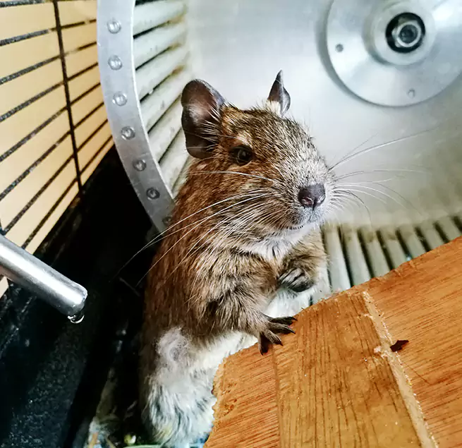 Why Homeowners & Businesses Trust Us Hopatcong, NJ